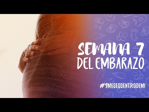 Semana 7 de embarazo
