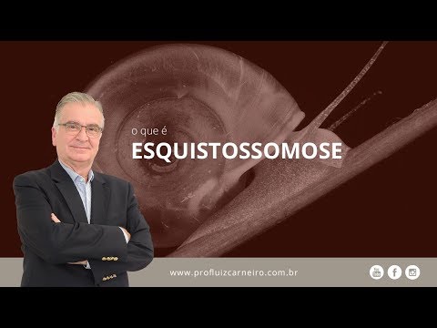 Esquistossomose ainda existe! | Prof. Dr. Luiz Carneiro CRM 22.761