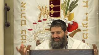 הרב אופיר טנג'י - פרפראות בפרשה - פרפראות האזינו