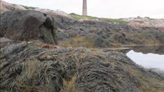 preview picture of video 'Kayak Trip to Thacher Island, Rockport, MA'