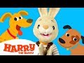 Baby Learning First Words with Harry the Bunny | Educational Family Fun Videos for Toddlers & Babies