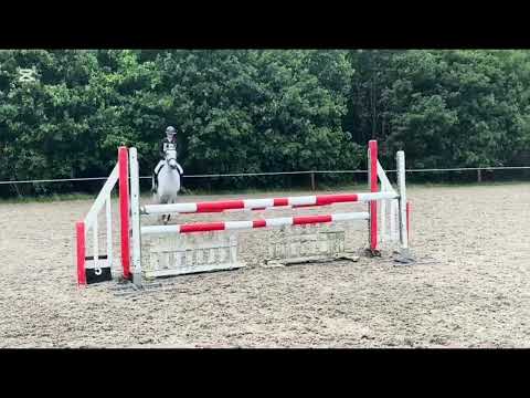 LOT 386 Clifden Saturday - Image 2