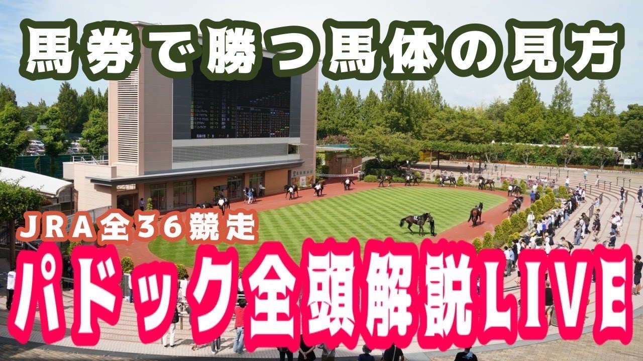 【JRAライブ】競馬記者が全レースのパドックを解説【大阪杯 2026】