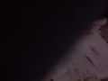 Triple Feature DVD Opening