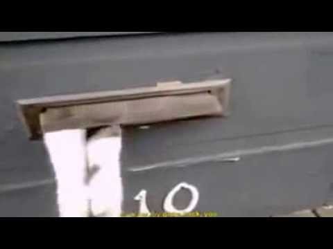 Mailman Battles Cat While Attempting to Deliver Mail. :D