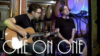 ONE ON ONE: Brad Roberts of Crash Test Dummies August 12th, 2016 City Winery New York Full Session