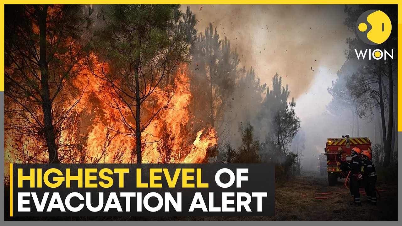Europe Wildfires: 200,000 Acres Scorched as 12 Wildfires Rage | WION News