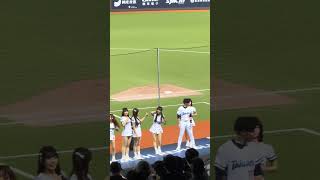 【Team Taiwan】台湾VSチェコ交流試合(台灣捷克國際交流賽)@台北大巨蛋 20241102 #台湾チア #cheerdance #cheerleading  #teamtaiwan