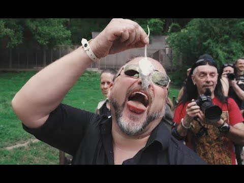 download lagu mp3 mp4 Powerwolf Website, download lagu Powerwolf Website gratis, unduh video klip Powerwolf Website