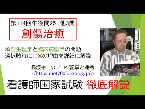 看護学科 創傷治癒114PM-25
