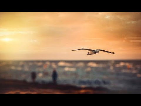 Smirujuće učenje Kur'ana - sura Mulk [Vlast]