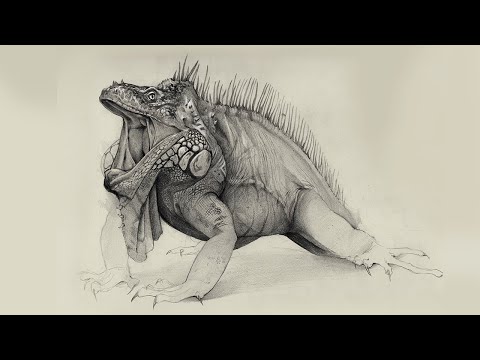 Master the Art of Drawing Lizard Scales: Step-by-Step Guide