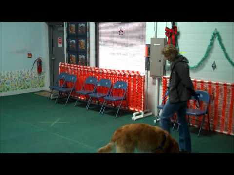 Getting and Reinforcing Focus