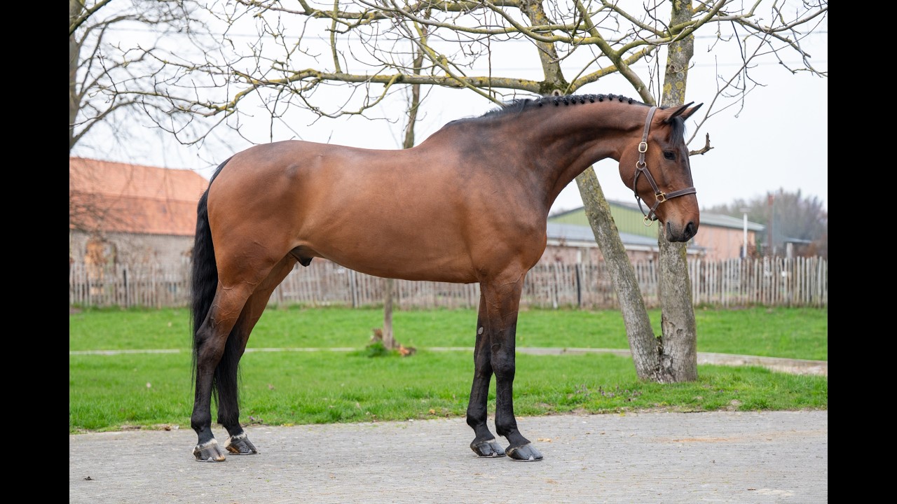 Masterpiece (CHAPEAU TN x CLINTON) video 3