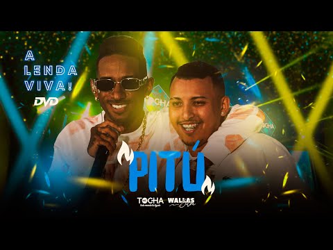 Mc Tocha e Wallas Silva - Pitú (DVD A lenda viva) #AoVivo