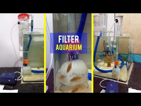 How to Make a Simple Aquarium Filter from a Plastic Bottle Using Aerator Video
