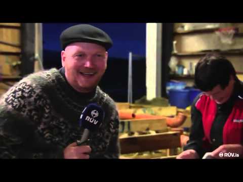 Nútíminn.is - Gísli Einars dettur á rassinn í beinni