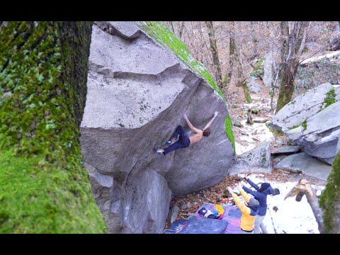 A Mellow Cresciano "New King Lines"