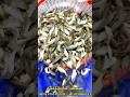 சிவசக்தி மீன் பண்ணை 9047440978 8111088837