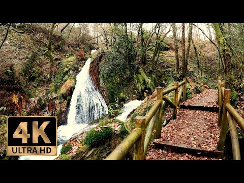 4K Virtual Hike Near River through the Forest - Waterfalls & Only Nature Sounds (No Music), Galicia