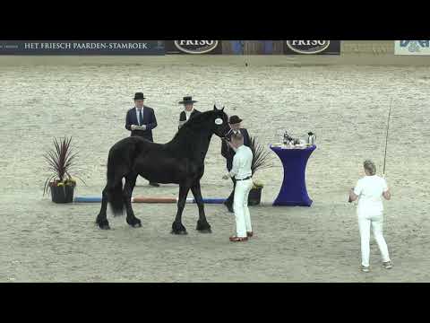 Compilatie rubriek 2