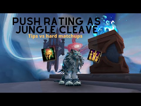 Gain Arena Rating! 3v3 Jungle Cleave Commentary: Tips to Beat Melee Cleaves Rank 1 Feral POV
