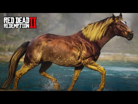 Searching for the BEST WILD HORSES - THE HORSE TAMER - 23