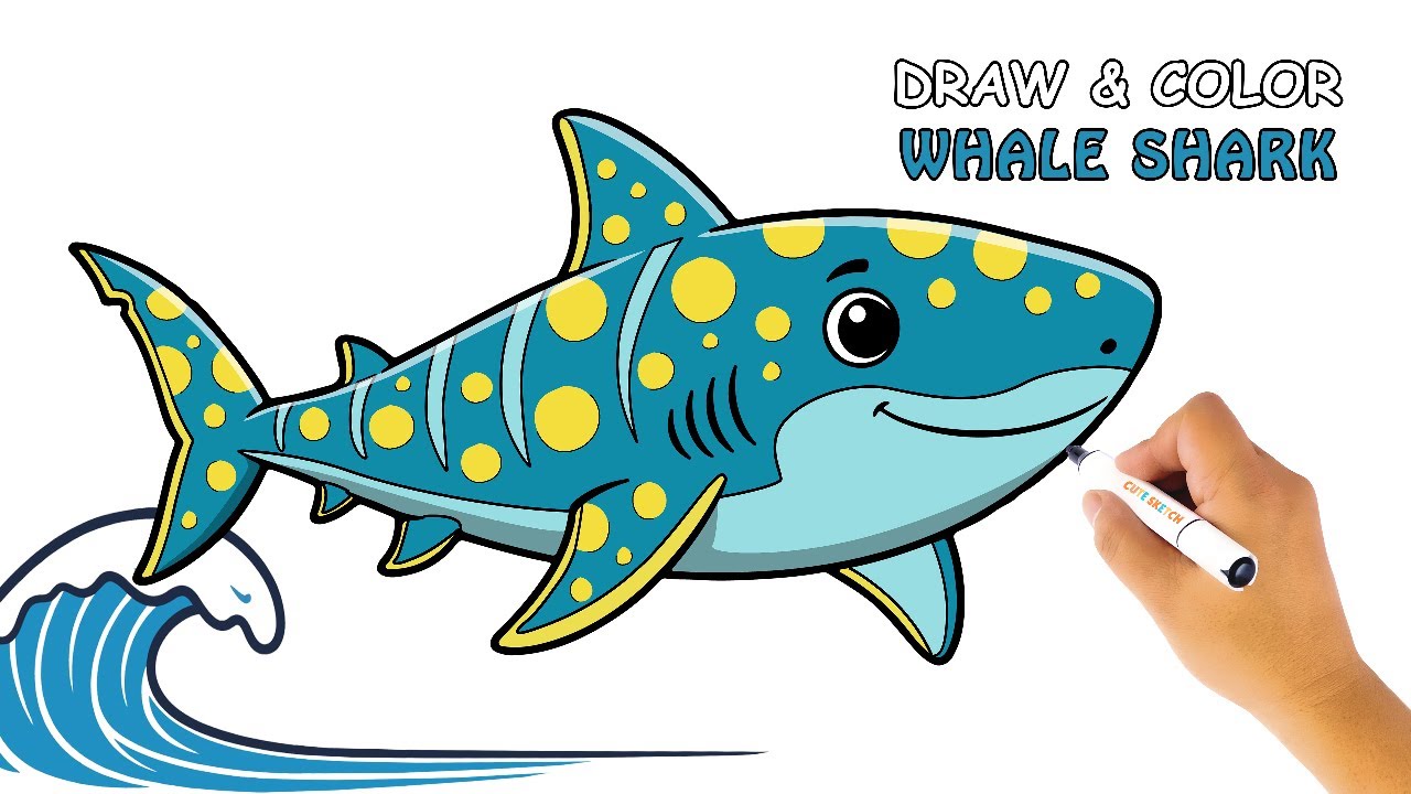 Draw & Color a Whale shark | Relaxing Fish Drawing Step by Step