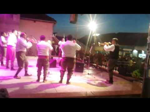 Orkestar vladice novkovica