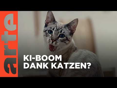 Video Thumbnail: Was hat KI mit Katzen zu tun? (4/6) | Silicon F***ing  Valley | ARTE