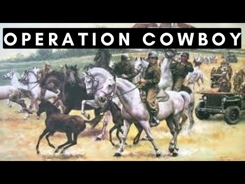 Operation Cowboy - US Army & German Army save Lipizzan Horses in WW2 (April-May 1945)