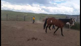 El tío juan Antonio aguilar