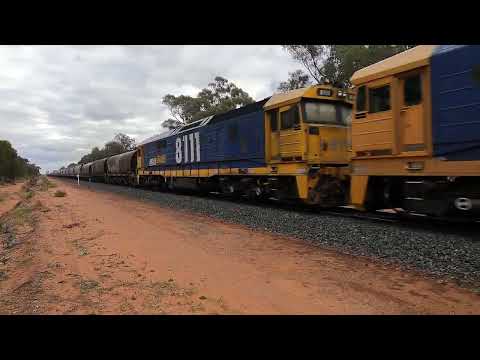 8237, 8207, 8155 & 8111 BGER NSW.  Sat 27th May 2023