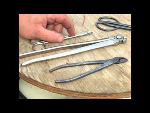 Bonsai Wiring Part 2-The Burning Question