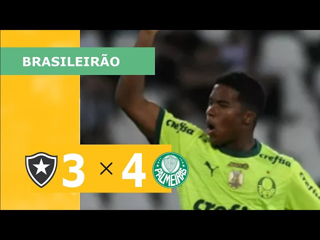 Palmeiras busca virada histórica contra o líder Botafogo em jogo de sete  gols - Placar - O futebol sem barreiras para você