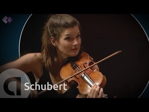 Schubert: Octet in F groot, D 803 - Janine Jansen & Friends - IKFU 2015 - Live Concert HD