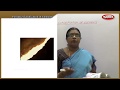 Periodic Classification Of Elements TN 10th Std Science Chemistry Question Bank Live Teaching