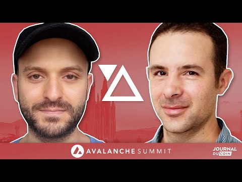 Interview with Mounir Benchemled from Paraswap - Avalanche Summit Barcelone 2022