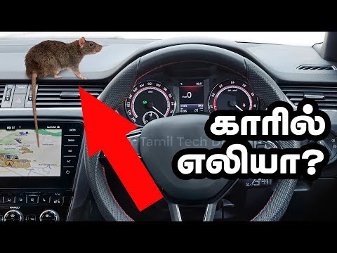எலி கார் பக்கமே வரவிடாமல் ஓட ஓட விரட்டும் பொருள்கள் இதுதாங்க  | Protect CAR from RATS
