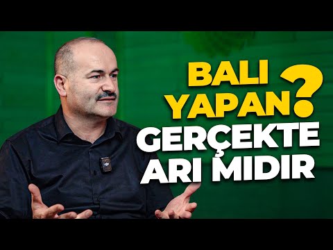 Allah'ın İradesiyle mi, Yoksa Tesadüf mü? | Said Şaşmaz