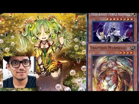 Mekk-Knight Traptrix! || Budget Build! || Profile/Combo/Competitive! || Yu-Gi-Oh!