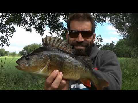 Small Rivers BIG CHUB & PERCH...June 2021