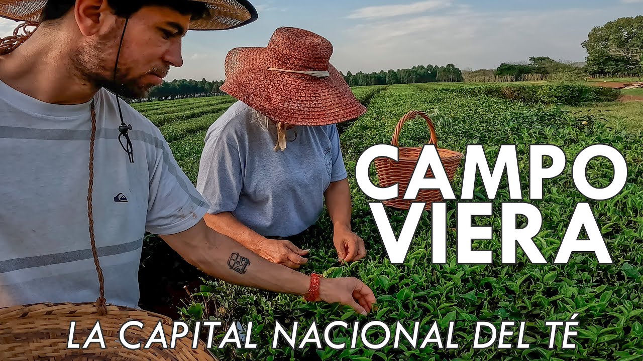 youtube video id=O54SZ64uhCM