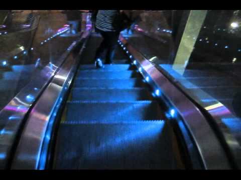 The Veils - Leavers Dance