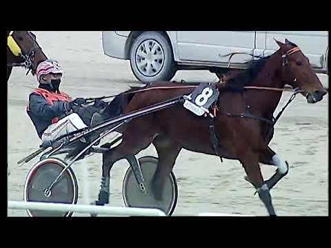 Napoli Trotto 21/01/2022 - 5ª corsa