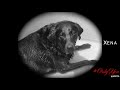 #OnlyYou by The Platters for the ASPCA and ...