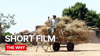 Whose Land? - Why Poverty? (English version)