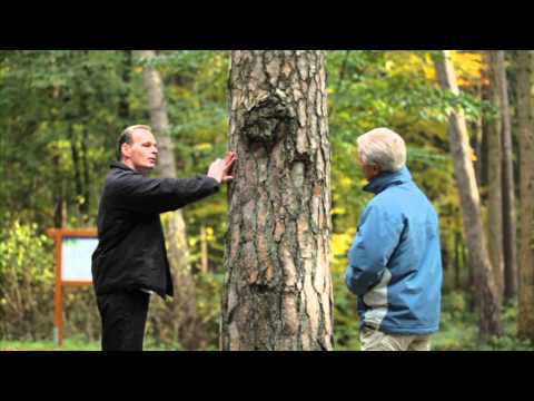 Teutoburger Wald VitalWanderWelt kompakt