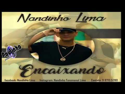 NANDINHO LIMA - ENCAIXANDO (ÁUDIO OFICIAL)