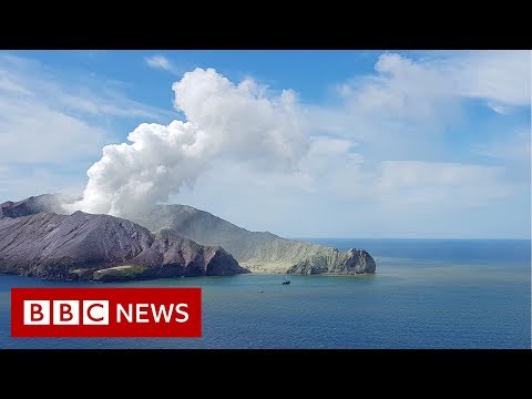 ニュージーランドの火山。噴火後の瞬間 - BBC ニュース (New Zealand volcano: The moment after eruption hit - BBC News)